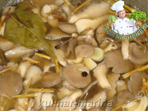 Маринованные вешенки - отличная закуска | Marinated oyster mushrooms - great snack